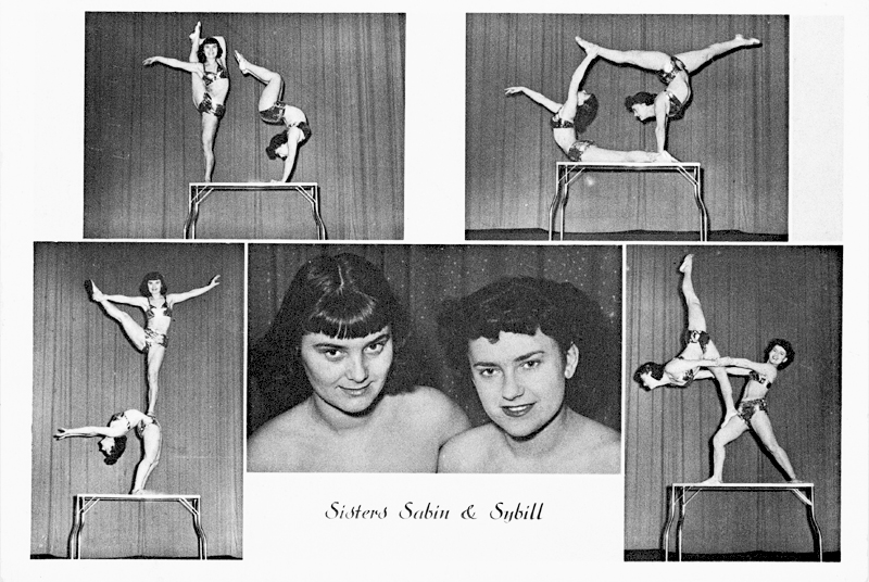 Eleganter gymnastischer Akt